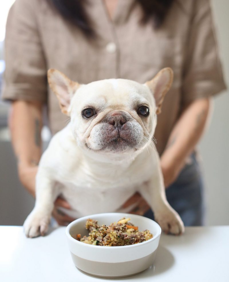 Homemade dog food for frenchies